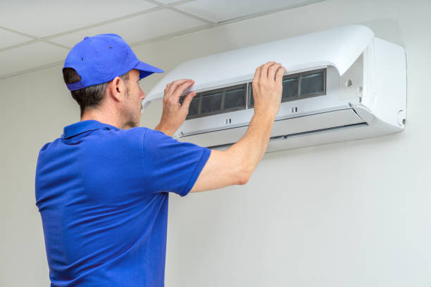 Air Duct Mold Removal in Pioneer, CA