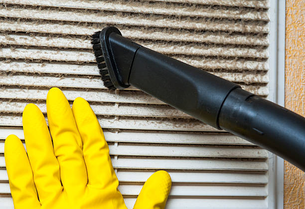 Best Affordable Duct Cleaning Services  in Pioneer, CA
